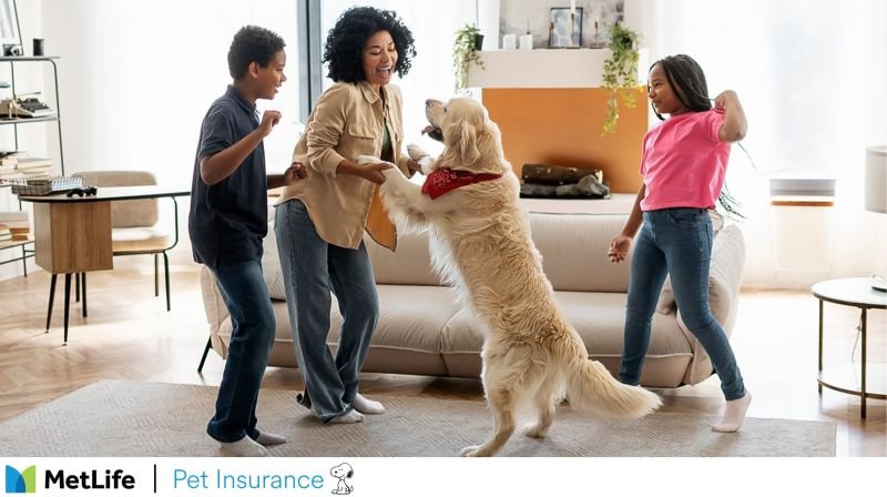 metlife pet insurance
