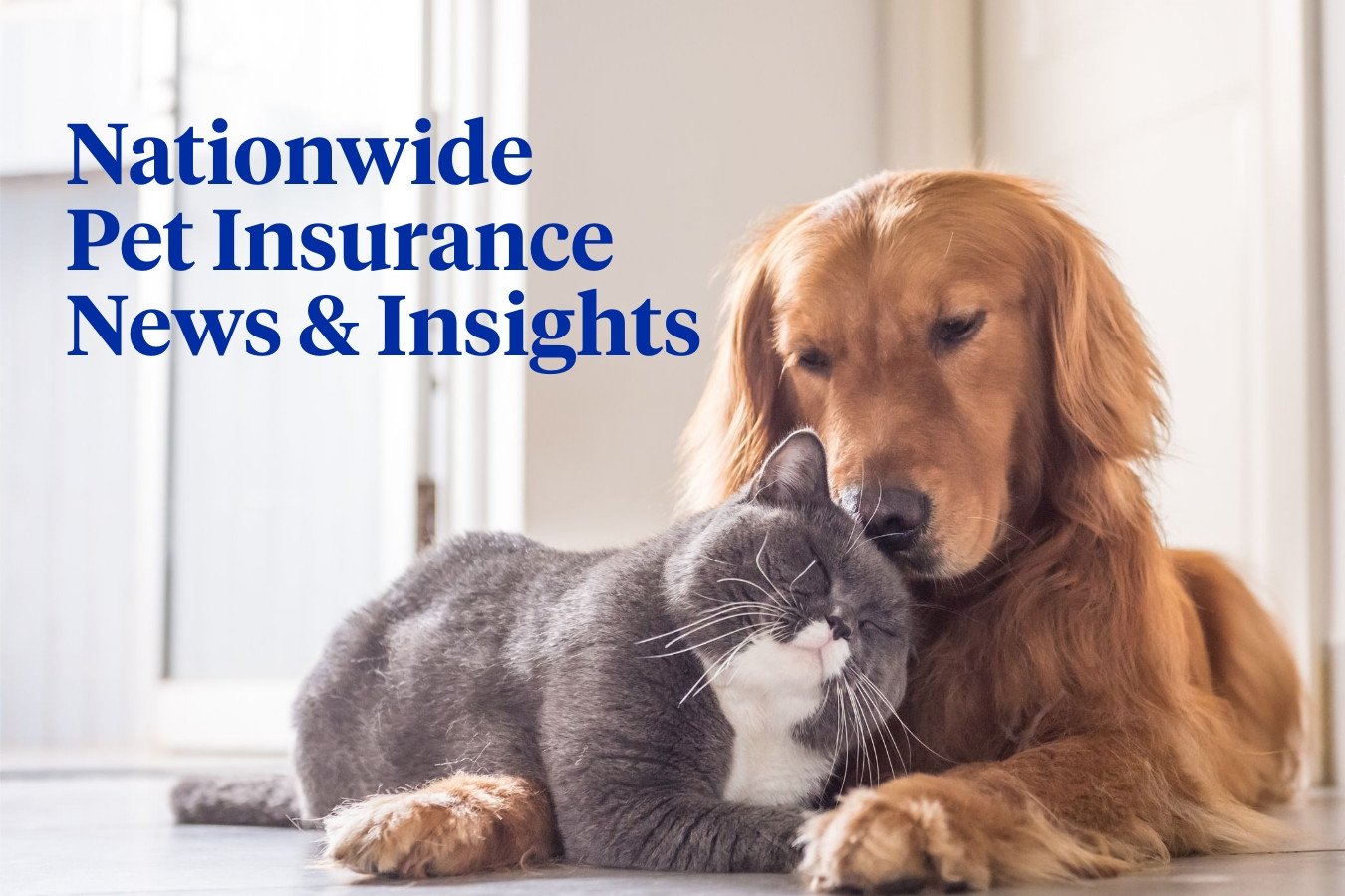 Nationwide Pet Insurance