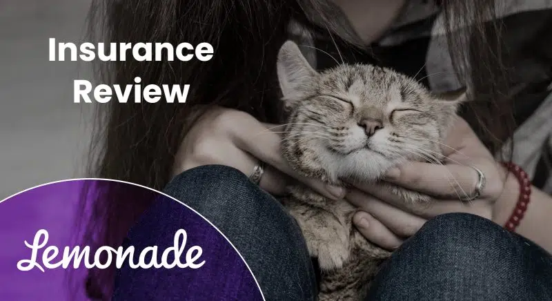 Lemonade Pet Insurance